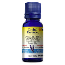 Load image into Gallery viewer, Divine Essence Lavender True Essential Oil (Provence-1200m)(Org) - 15ml
